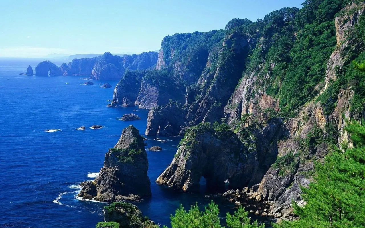 高标准独特
